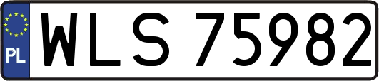 WLS75982