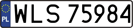 WLS75984