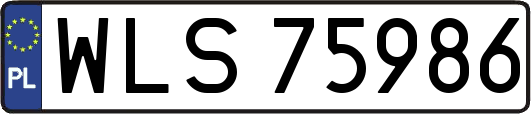 WLS75986