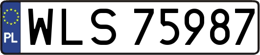 WLS75987