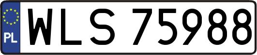WLS75988