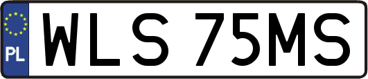 WLS75MS