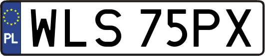WLS75PX