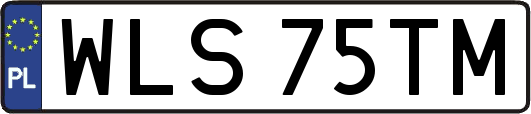 WLS75TM