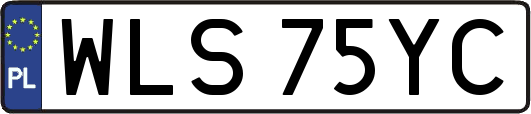 WLS75YC