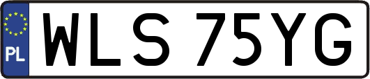WLS75YG