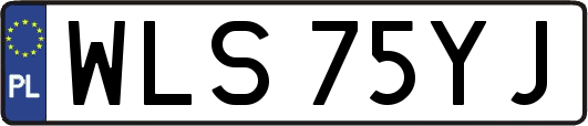 WLS75YJ