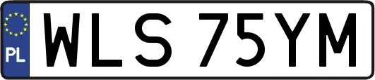 WLS75YM