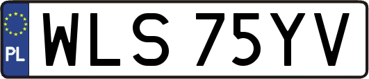 WLS75YV
