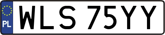 WLS75YY