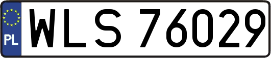 WLS76029