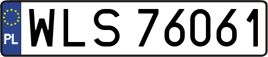 WLS76061