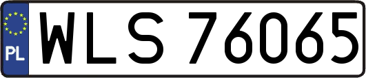 WLS76065