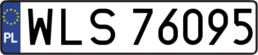 WLS76095