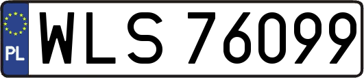 WLS76099