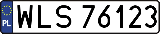 WLS76123