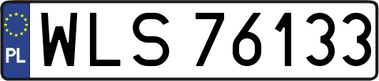WLS76133