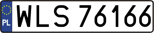 WLS76166