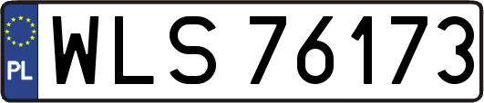 WLS76173