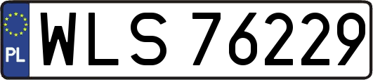WLS76229