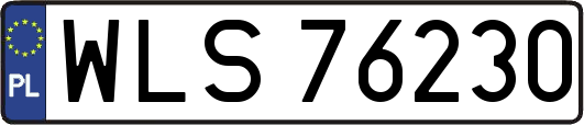 WLS76230