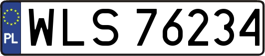 WLS76234