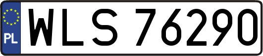 WLS76290