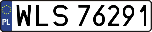 WLS76291