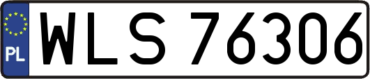 WLS76306