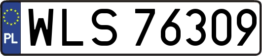 WLS76309