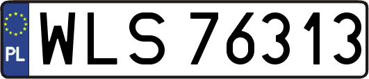 WLS76313