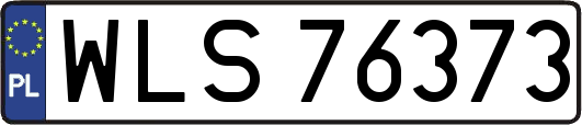 WLS76373
