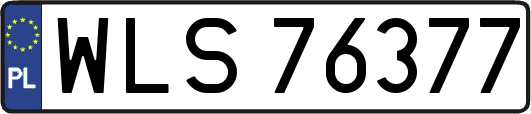 WLS76377