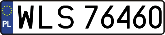 WLS76460