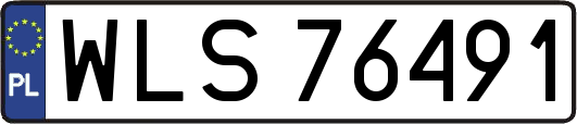WLS76491