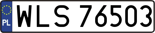 WLS76503