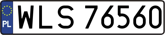 WLS76560
