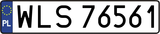 WLS76561