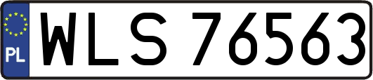 WLS76563