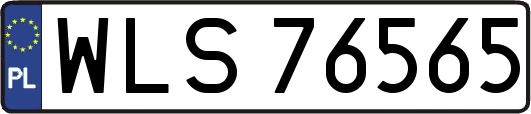 WLS76565