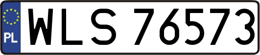 WLS76573