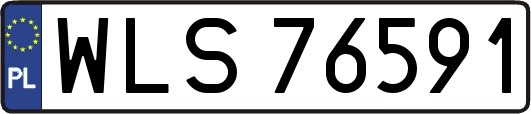WLS76591