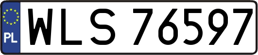WLS76597