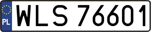 WLS76601