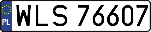 WLS76607
