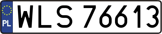 WLS76613