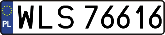 WLS76616