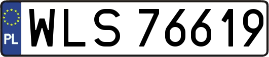 WLS76619