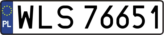 WLS76651