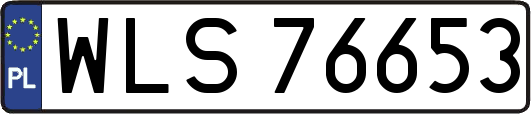 WLS76653